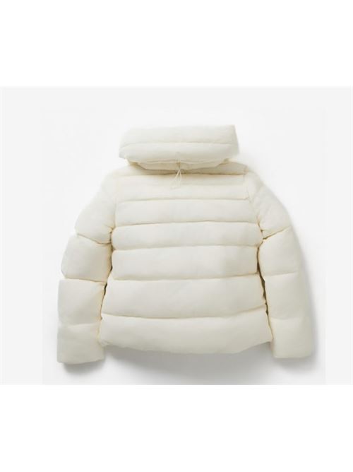 conaripe CAPE HORN | B2564012